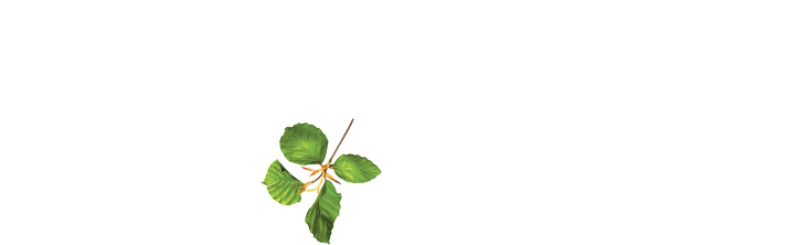 logo_chauxdabel_white.png